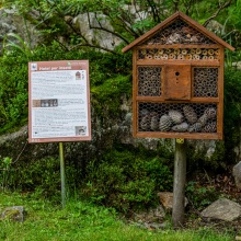 019-Oropa-giardino-botanico