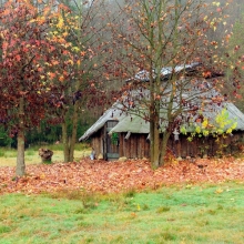 Parco Arcobaleno nei pressi di Curino