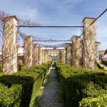 Palazzo Gromo Losa, il giardino