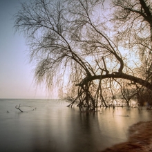 Lago di Viverone