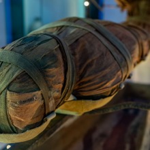 Zm-44-Museo-del-Territorio-Luca-065