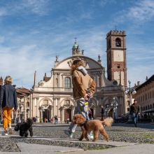 ZC-Vigevano